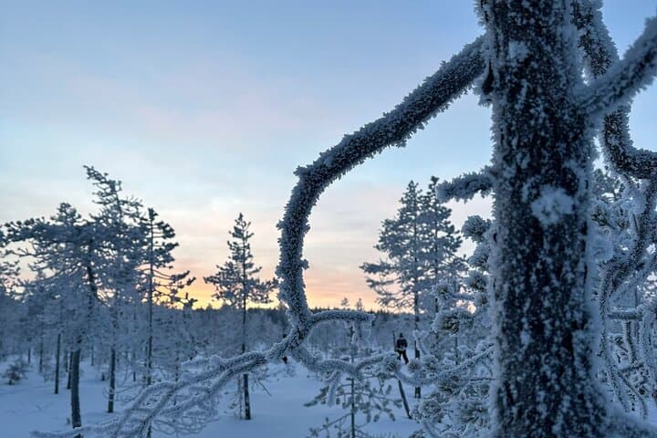 Rovaniemi Ice Fishing Guided Tour Experience