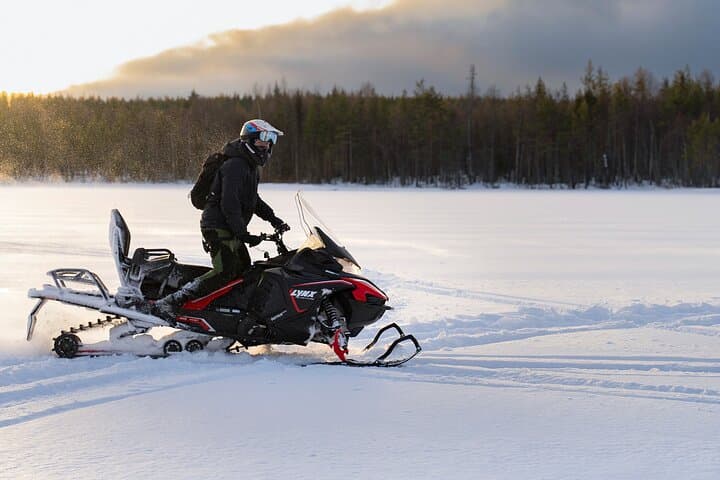 Snowmobile & Animals Day Tour