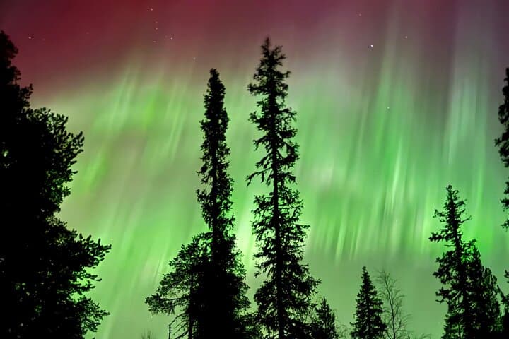 Levi Northern Lights Experience
