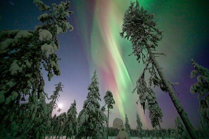 Small Group: Northern Lights Hunt 4x4 SUV - Aurora guarantee