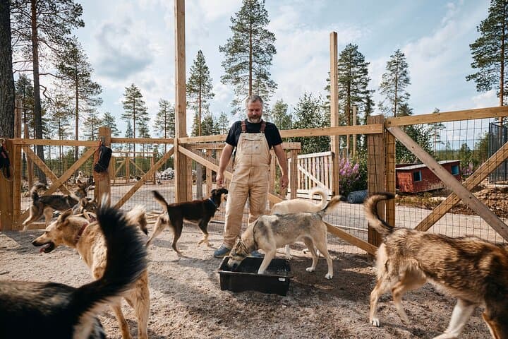 Life of the Husky, Kennel Tour and Husky Ride in Summer