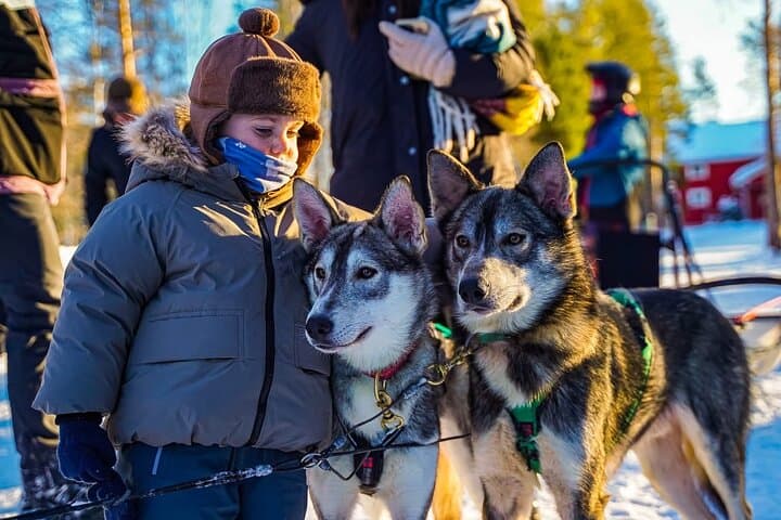 Arctic Huskies @NF TEAM