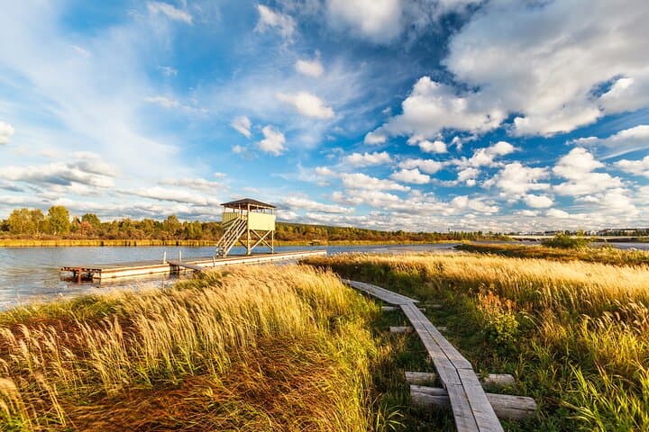Rovaniemi: Insider Summer Bird Watching Experience