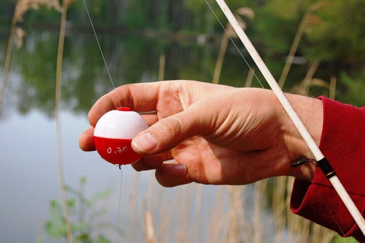 Rovaniemi: Insider Summer Evening Fishing