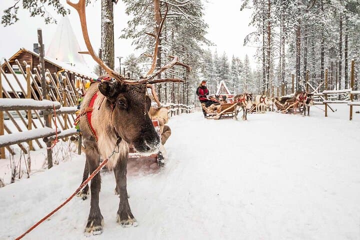 Santa’s Secrets: Guided Santa´s Village & Arctic Circle Tour
