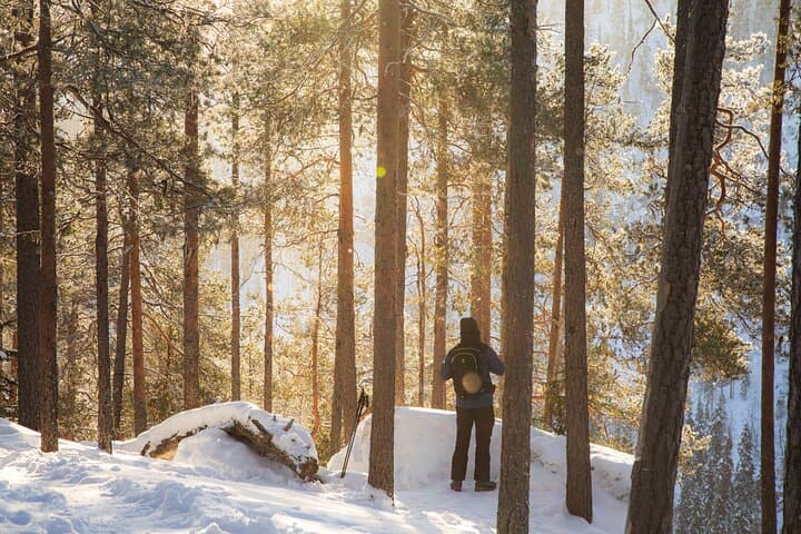 Frozen Waterfalls of Korouoma Canyon tour with Pro Photos & BBQ