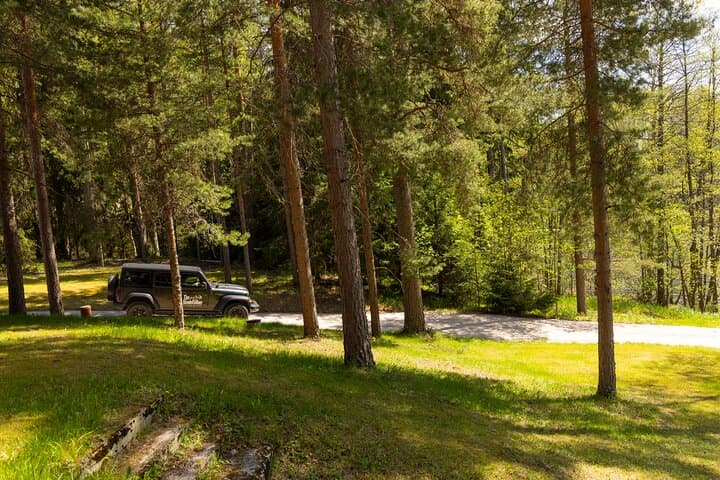 Northern Elegance: Private Reindeer Safari & Fireside Picnic*****