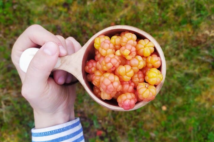 You can pick some tasty berries with your guide!