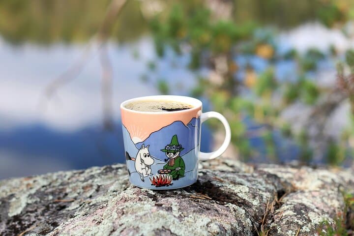 PRIVATE Moomin Adventure: Moomin Museum & Tove’s Helsinki Walk