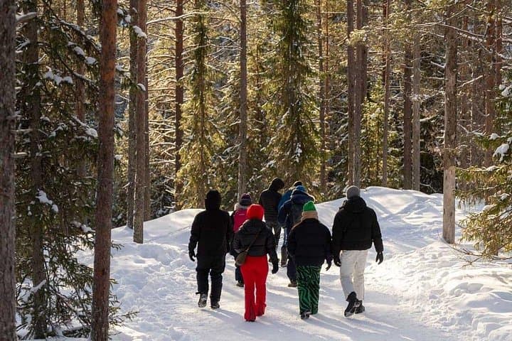 Kemijärvi Insider: Korouoma Frozen Waterfalls