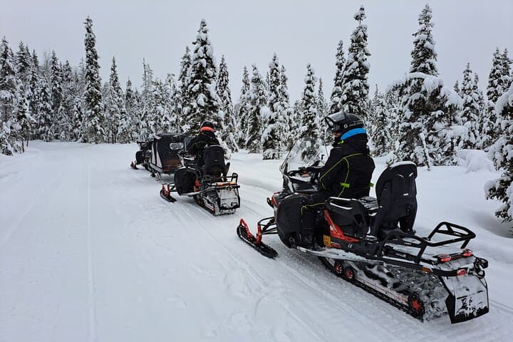 Full-Day Snowmobile Adventure with Open-Fire Lunch (Private)