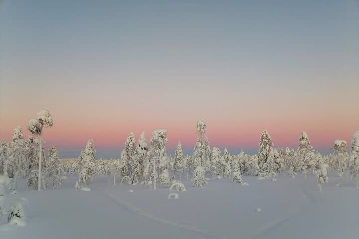 Full-Day Snowmobile Adventure with Open-Fire Lunch (Private)