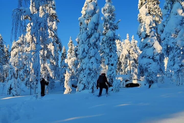 Arctic Immersion: Full-day Snowshoeing and Ice Fishing (Private)