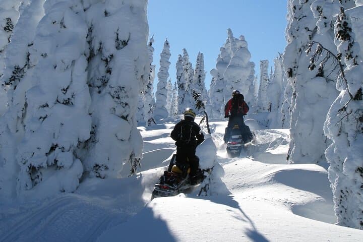 2 hours Private Snowmobile Adventure in Levi