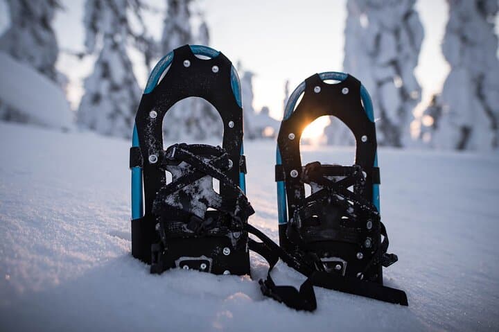 Snowshoeing in the Arctic Circle Forest