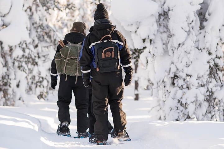 Snowshoeing in the Arctic Circle Forest