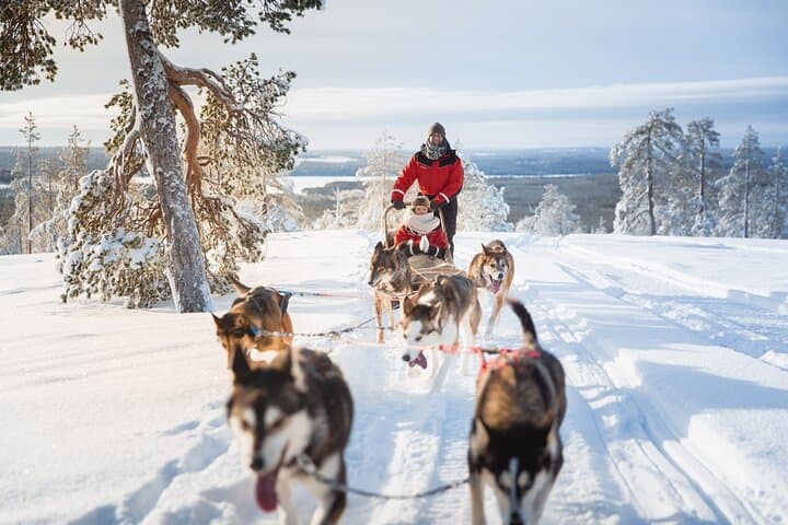 Arctic Great Huskies Team & amazing adventure in the Arctic Circle.
@VISITROVANIEMI