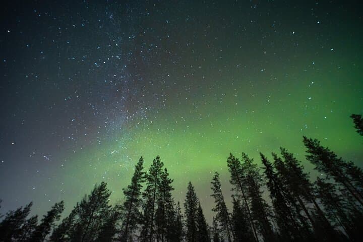 Rovaniemi Insider Aurora Train at Night