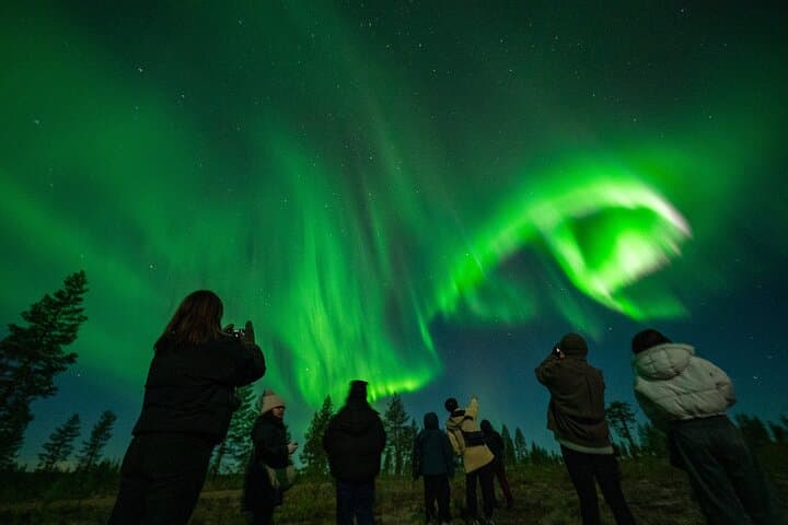 Rovaniemi:%100 Money Back Guarantee Northern Lights Hunting