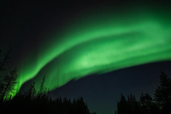 Ivalo: Wilderness Adventure by Snowmobile Sleigh