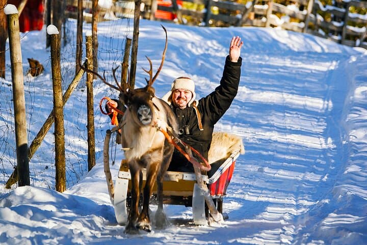 Rovaniemi: Reindeer Sleigh Ride (2,5km) Through Snowy Landscapes
