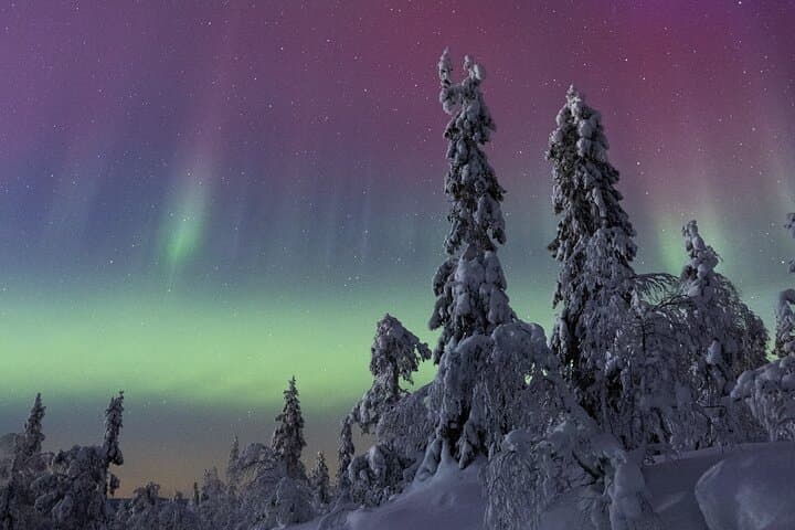 LEVI: Northern Lights Hunting – Money Back Guarantee