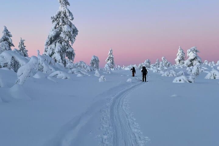 Skiing through snowy landscapes in Ylläs