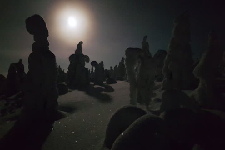 Arctic Night Snowshoeing near Ruka - Stars and Northern Sky