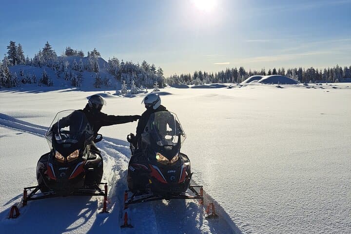 4-Hour Snowmobile Adventure in Rovaniemi (Private)