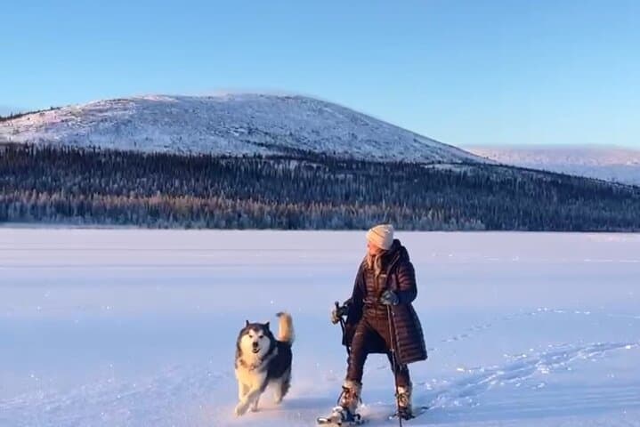 Reindeer Farm Visit and Snowshoe Adventure in wilderness Village