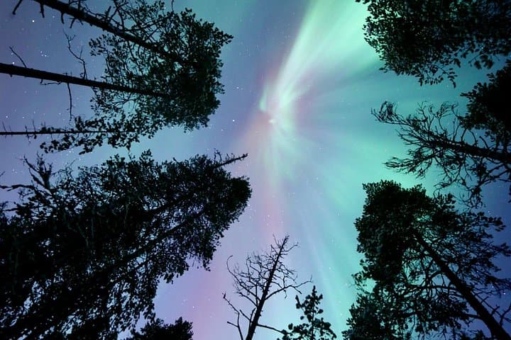 Rovaniemi Northern Lights Private Tour with Hotel Transfers