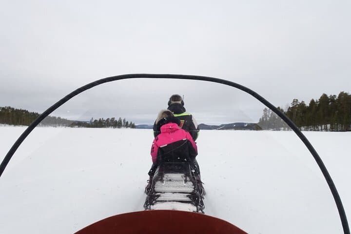 A Day with Reindeer Herders