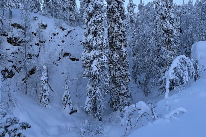 Private Snowshoeing Tour In Luosto With Outdoor Meal