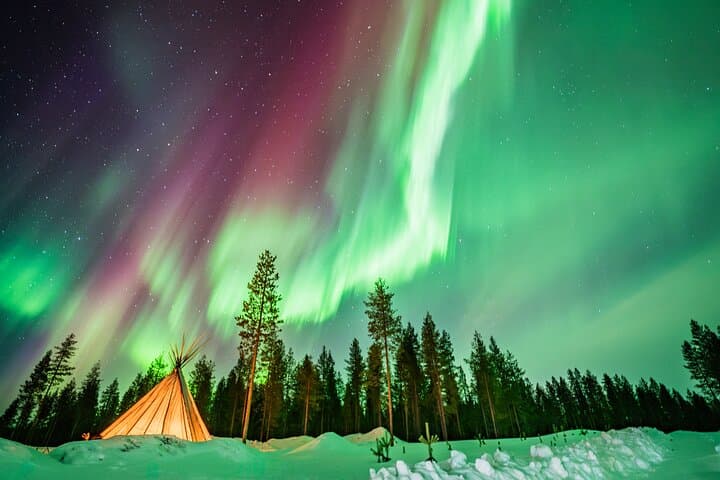 Rovaniemi Northern Light Hunt with Campfire and BBQ with Transfer