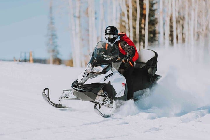 Arctic 2-Hour Snowmobile Adventure Levi