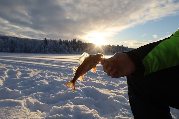 Ice Fishing and Winter BBQ Experience in Finnish Wilderness