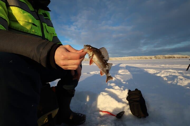Ice Fishing and Winter BBQ Experience in Finnish Wilderness