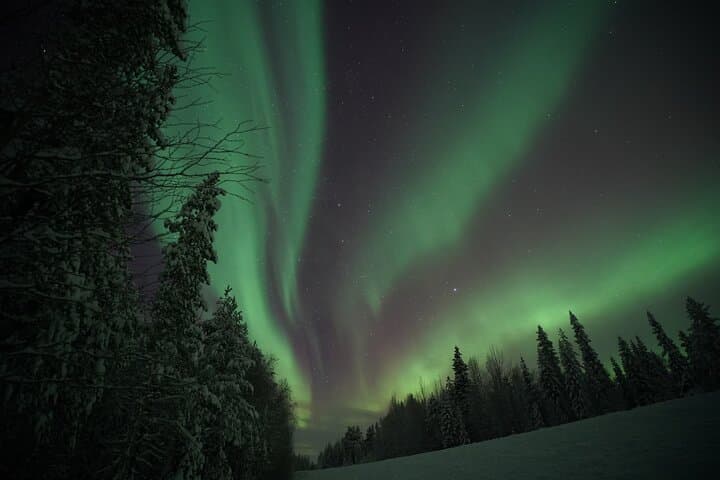 Rovaniemi Northern Lights Guaranteed (Small Group) Hunt + HD Pics