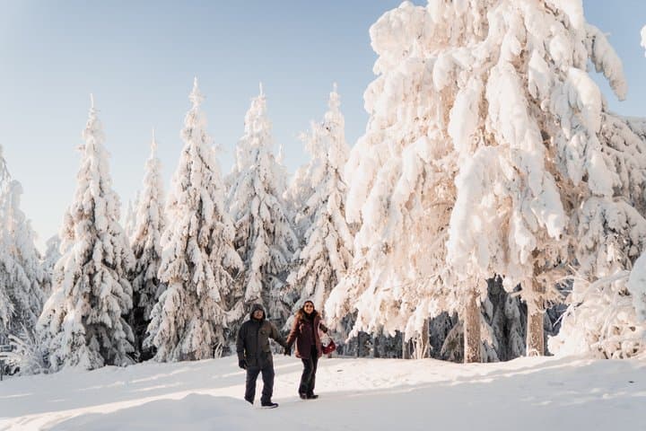 Private Photoshoot Experience in Lapland from Rovaniemi
