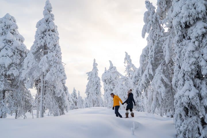 Private Photoshoot Experience in Lapland from Rovaniemi