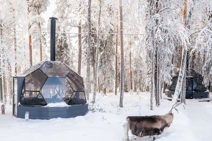 Luxury Rovaniemi Safari Private Snow-Veh Tour with 3-Course Lunch