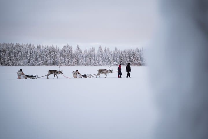Ice Fishing With Reindeers