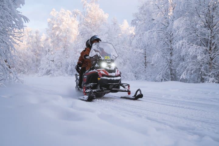 Snowmobile Safari to Arctic Nature