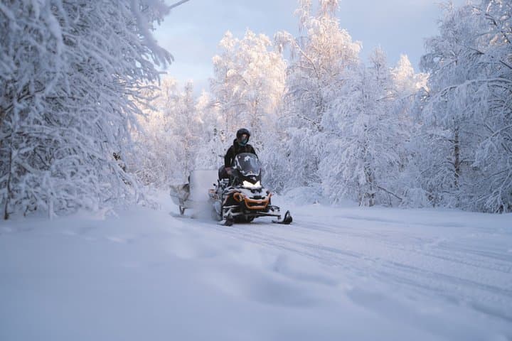 Snowmobile Safari to Arctic Nature
