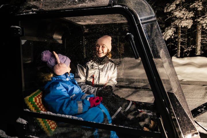 Arctic Night Odyssey: Northern Lights Drive & Snowmobile Safari
