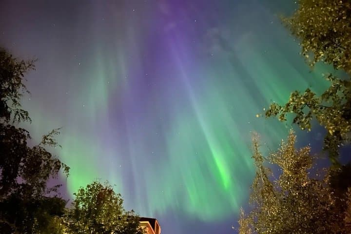 Arctic Night Odyssey: Northern Lights Drive & Snowmobile Safari