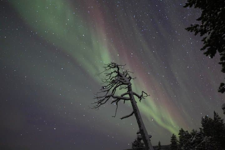 Aurora Hunting Tour by Car at Northern Lights in Ivalo and Inari