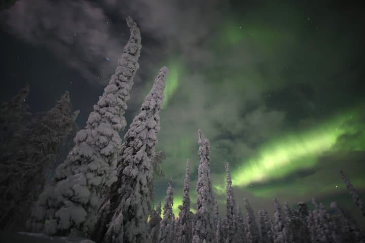 Aurora Hunting Tour by Car at Northern Lights in Ivalo and Inari