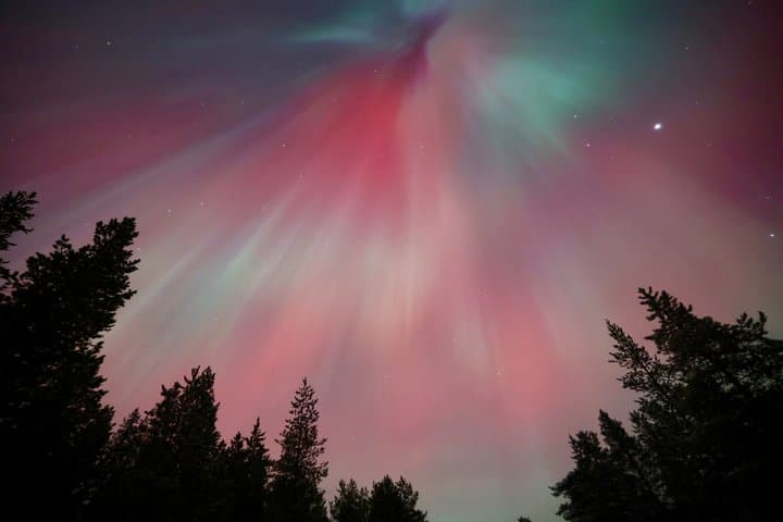 Aurora Hunting Tour by Car at Northern Lights in Ivalo and Inari