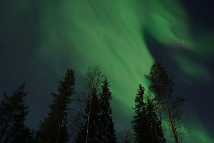 Rovaniemi Aurora Hunt Best Night Selection